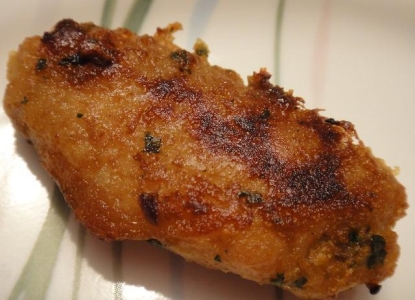 世界名猫之——加菲猫 异国短毛猫 加菲猫哪个国家的猫