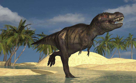 地球上最大的龙虾 波士顿龙虾长1.1米重40斤