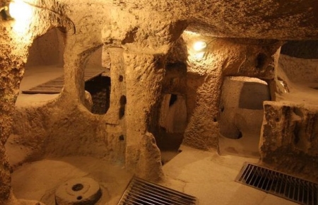 盘点地球上最奇特的十种蘑菇 会流血会发光的