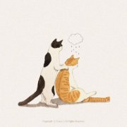 猫咪每天到底该吃多少？拒绝自助餐式喂养，喂猫也有公式？猫每天吃多少猫饭合适