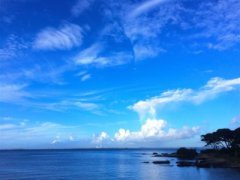 上海旅游景点 前十位哪些值得一游