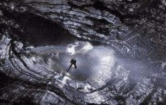 蜜獾能被驯服吗？