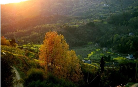 12580订机票，坐飞机去伊犁如何订机票