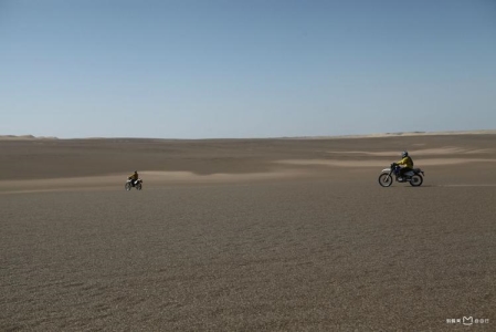 未解之谜：地球上最聪慧的动物前十名 地球上最聪慧的十种动物都