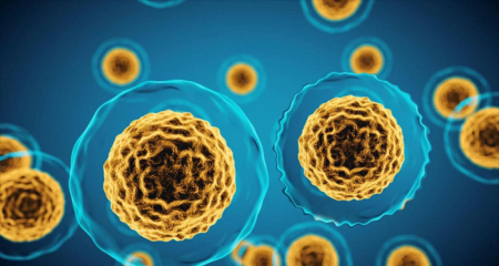 疾病知识：白血病的早期症状和前兆