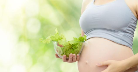 女性备孕吃什么养卵泡？女性备孕食谱