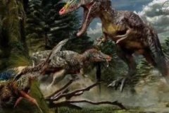 世界上最大的象龟