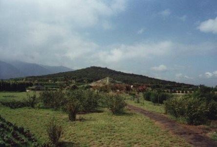 太阳神 鸟神话中的太阳鸟是什么鸟