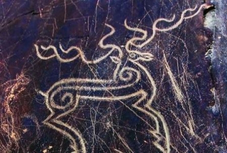 10米巨蟒能吃掉蜜獾吗？