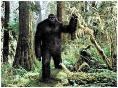 蟒蛇中体型最大的蟒蛇 蛇