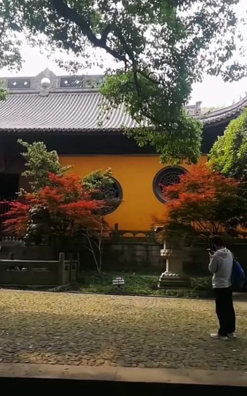 西湖一处景点令人流连忘返