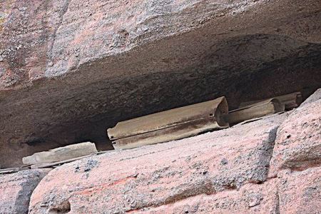 蛇会主动咬熟睡的婴儿吗?