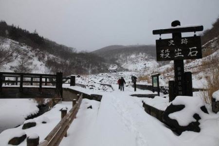 蛇的速度能跑过人吗?