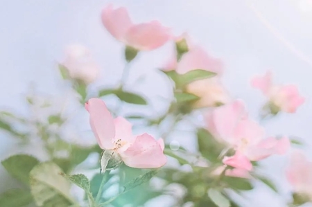 知识科普:蔬菜在冰箱里存一周会损失多少维生素蔬菜该怎么样保存