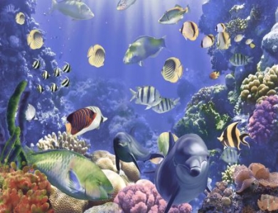 11月稻城亚丁旅游攻略最新的稻城亚丁旅游攻略