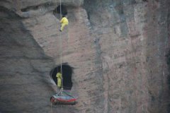 乌龟的祖先动物