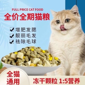 什么猫咪比较好养？这五种猫咪最好养，你们家猫上榜了吗？