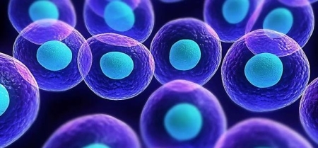 人类永远攻克不了癌症癌症的十大可怕之处