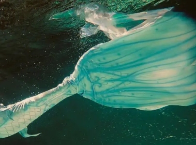 未解之谜：新中国为什么不杀溥仪 为什么不处死溥仪