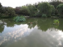 乌镇周边景点？前十名去这些地方好选择