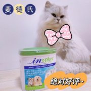 猫咪脱毛解决？猫掉毛最好的解决办法