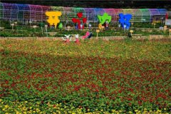 从渭南到三亚汽车托运注意事项