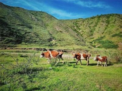 河南省附近有什么好玩又接地气的景点值得周末游玩
