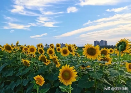 太平湖自驾景点太平湖风景区怎么去