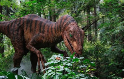 研究称,布满雪茄达摩鲨留下的伤疤的虎鲸可能是新种群