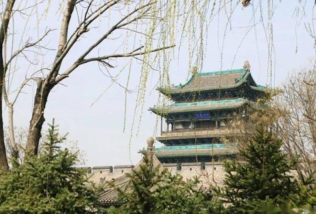 我国特有濒危植物玉龙杓兰再现丽江玉龙雪山