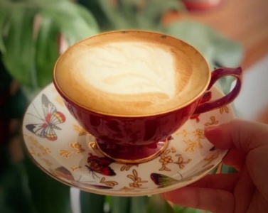 泡茶水温对茶水味道有什么影响怎么变成泡茶高手
