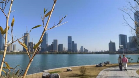 周庄里面有哪些景点？怎么样拍照更出片