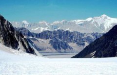 人死后的世界植物人画出人死后