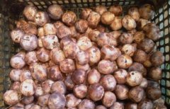 牛肉炒青椒芹菜的科学做法