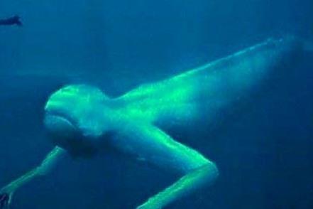 未解之谜:封门村赵东秋