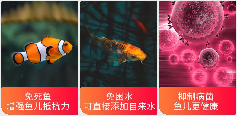 鲫鱼钓回家能活多久钓回来的鲫鱼怎么养？活