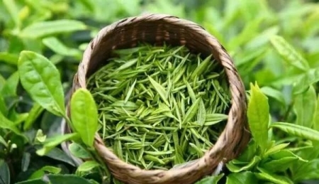 鱿鱼须炒韭菜花的做法