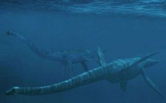 喀纳斯湖水怪是什么动物抓住了新疆水怪是什