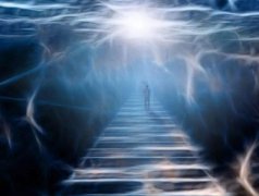 故宫晚上放狗？阴气太重冤魂肆虐活人晚上不敢进