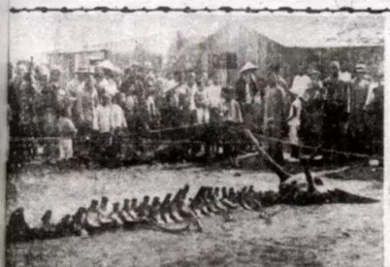 马航mh370何时失事 马航mh370何时失踪的