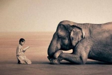 姜子牙坐骑四不像代表什么姜子牙的神兽坐骑，俗称四不像，到底是个啥