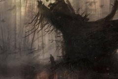 不为人知的公墓灵异事件：墓地监控拍到鬼影