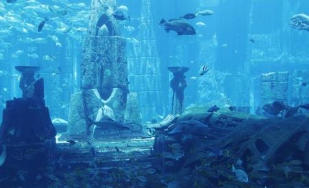 未解之谜:随处可见的麻雀人们一般很少看到它们的尸体麻雀的寿命有多长 麻雀寿命很短为什么见不到尸体