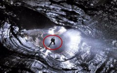 人类不敢公布的谜团：大金湖水怪是什么动物