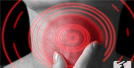 补肾滋阴可以这么吃？4款美味食谱