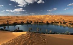 沙漠里的沙子不能用于建筑